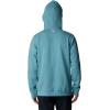 imageColumbia Mens PFG Fish Flag Ii HoodieTranquil TealOrange Reef Trout Flies