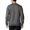 imageColumbia Mens Trek CrewCharcoal HeatherCsc Stacked Graphic