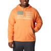 imageColumbia Mens Trek Graphic HoodieDesert OrangeTreestriped Flag