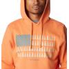 imageColumbia Mens Trek Graphic HoodieDesert OrangeTreestriped Flag