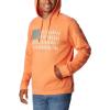 imageColumbia Mens Trek Graphic HoodieDesert OrangeTreestriped Flag