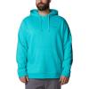imageColumbia Mens Trek HoodieBright Aqua HeatherCsc Sleeve Logo