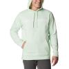 imageColumbia Mens Trek HoodieIce GreenCsc Branded Logo