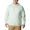 imageColumbia Mens Trek HoodieIce GreenCsc Branded Logo