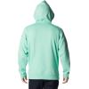 imageColumbia Mens Trek HoodieKelp HeatherCsc Arched Brand Logo