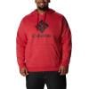 imageColumbia Mens Trek HoodieMountain Red HeatherCsc Stacked Logo