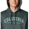 imageColumbia Mens Trek HoodieSpruce HeatherCsc Arched Brand Logo