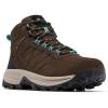 Cordovan/Teal