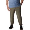imageColumbia Mens Hike JoggerStone Green