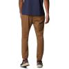 imageColumbia Mens Rapid Rivers JoggerDelta