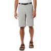 imageColumbia Mens Silver Ridge Cargo ShortColumbia Grey