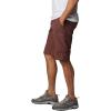 imageColumbia Mens Silver Ridge Cargo ShortLight Raisin