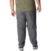 imageColumbia Mens Silver Ridge Convertible PantGrill