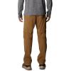 imageColumbia Mens Silver Ridge Utility Convertible Hiking PantDelta