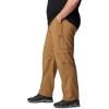 imageColumbia Mens Silver Ridge Utility Convertible Hiking PantDelta