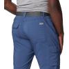 imageColumbia Mens Silver Ridge Utility PantDark Mountain
