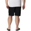 imageColumbia Mens Summertide Stretch ShortsBlack