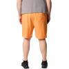 imageColumbia Mens Summertide Stretch ShortsKoi