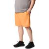 imageColumbia Mens Summertide Stretch ShortsKoi