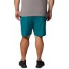 imageColumbia Mens Summertide Stretch ShortsRiver Blue