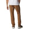 imageColumbia Mens Tech Trail Ii PantDelta