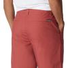 imageColumbia Mens Washed Out ShortRose Dust
