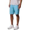 imageColumbia Mens Washed Out ShortVintage Blue