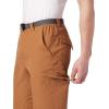 imageColumbia Sportswear Silver Ridge Cargo PantCamel Brown