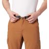 imageColumbia Sportswear Silver Ridge Cargo PantCamel Brown