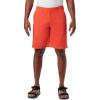 imageColumbia Mens Washed Out ShortWildfire