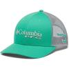 Electric Turquoise/Cool Grey/Hook