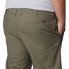 imageColumbia Mens Flex ROC Short UV Sun Protection Comfort StretchStone Green