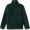 imageColumbia Boys Steens Mountain II FleeceDark LimeSpruce