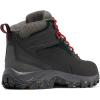 imageColumbia Mens Newton Ridge Plus II Waterproof Hiking BootsBlack  Mountain Red
