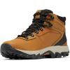 imageColumbia Mens Newton Ridge Plus II Waterproof Hiking BootsElkBlack