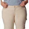 imageColumbia Womens Silver Ridge Utility Convertible PantsAncient Fossil