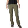 imageColumbia Womens Silver Ridge Utility Convertible PantsStone Green