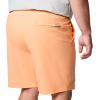 imageColumbia Mens PFG Rambler Water ShortBright Nectar