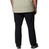 imageColumbia Mens Landroamer Ripstop Pant IIBlack