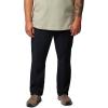imageColumbia Mens Landroamer Ripstop Pant IIBlack