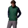 imageColumbia Mens Powder Lite II VestRain Forest