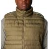 imageColumbia Mens Powder Lite II VestStone Green