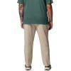 imageColumbia Mens Sage Peak Chino PantAncient Fossil