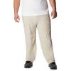 imageColumbia Mens Silver Ridge Convertible PantsFossil