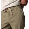 imageColumbia Mens Tech Trail Utility ShortStone Green