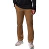 imageColumbia Mens Pitchstone Outdoor PantDelta
