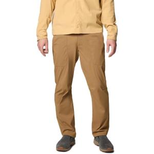 imageColumbia Mens Landroamer Ripstop Pant IIDelta