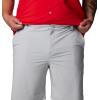 imageColumbia Mens PFG Grander Marlin Iii Offshore ShortCool Grey