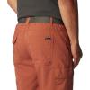 imageColumbia Mens Silver Ridge Utility Cargo ShortAuburn