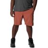 imageColumbia Mens Silver Ridge Utility Cargo ShortAuburn